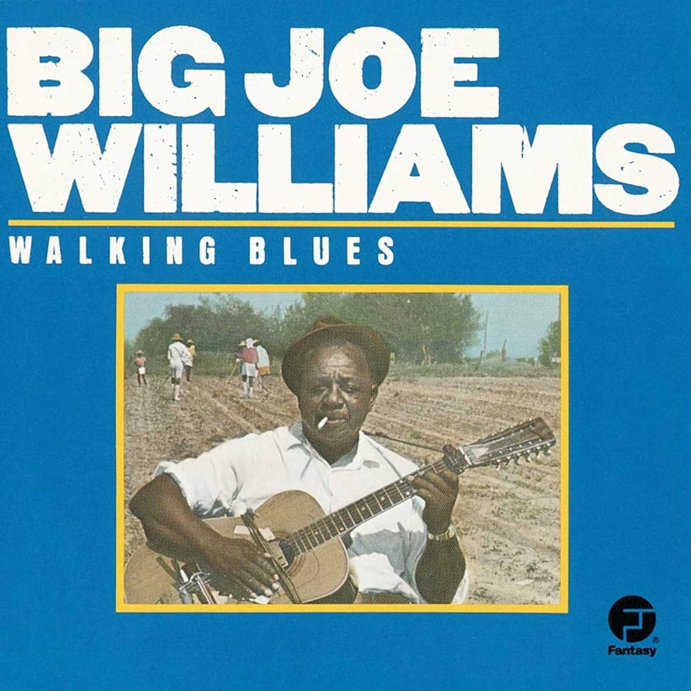 その他 LP Big Joe Williams Mississippis Big Joe Williams FS3820 FOLKWAYS US Vinyl /00260 LP Big Joe Williams Mississippi's Big Joe Williams FS3820